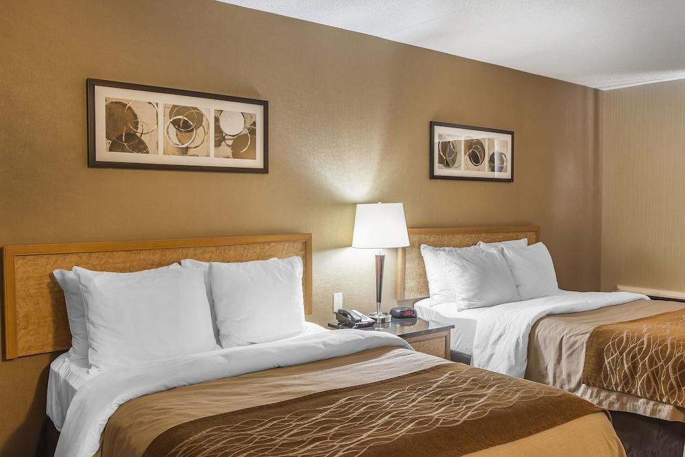 Comfort Inn Sydney Eksteriør billede