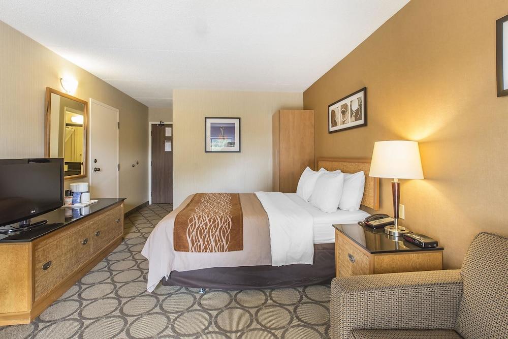 Comfort Inn Sydney Eksteriør billede